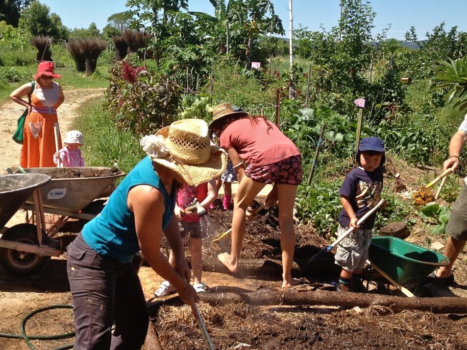 Mullumbimby Community Gardens